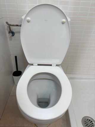 Inodoro Roca vater Blanco