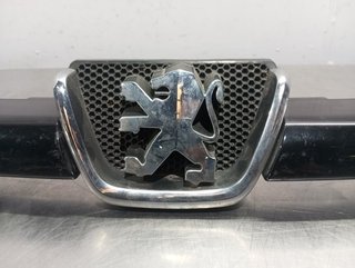REJILLA DELANTERA PEUGEOT 206 9628691277