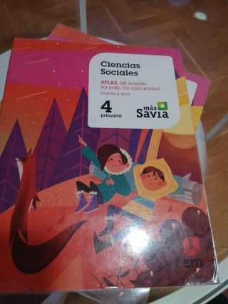 Libros 4 primaria
