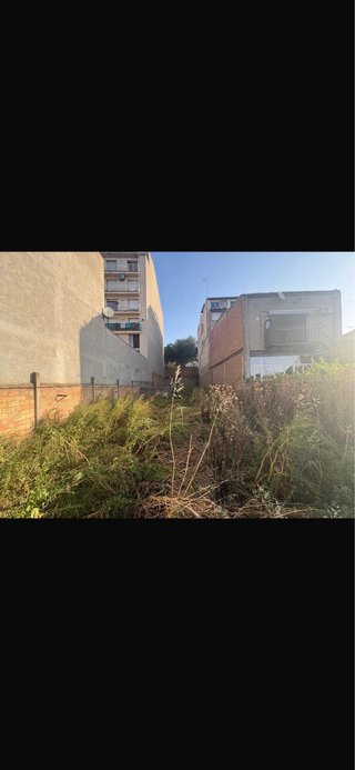Servicio de desbroce de patios y parcelas watzap