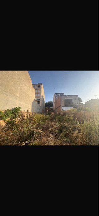 Servicio de desbroce de patios y parcelas watzap