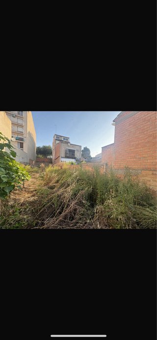 Servicio de desbroce de patios y parcelas watzap