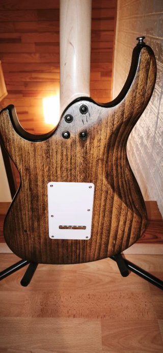 Cort G110 Nut osso Pickup Vintage regulada