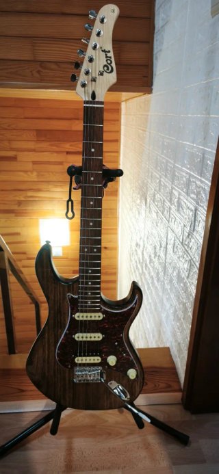 Cort G110 Nut osso Pickup Vintage regulada