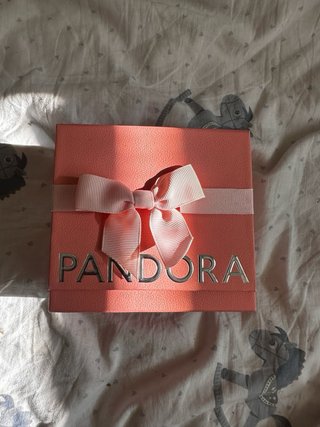 Anillo Pandora Plata