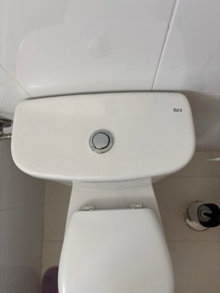 Inodoro/váter y bidet Roca Blanco
