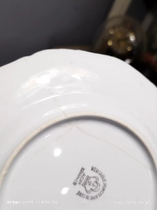 SET DE MERIENDA PORCELANA FRANCESA AVE DEL PARAISO