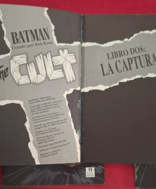 Batman The Cult