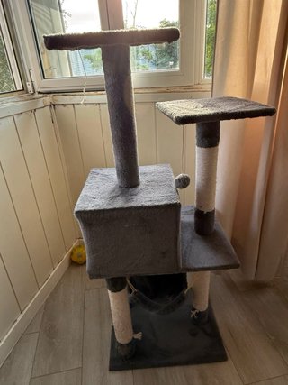 Columna rascador para gatos