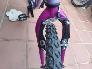 Bicicleta Morada 20 Pulgadas