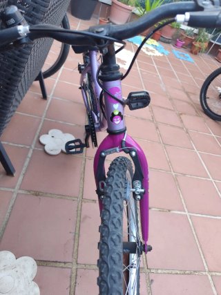 Bicicleta Morada 20 Pulgadas