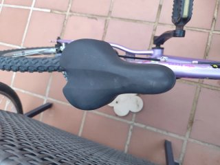 Bicicleta Morada 20 Pulgadas