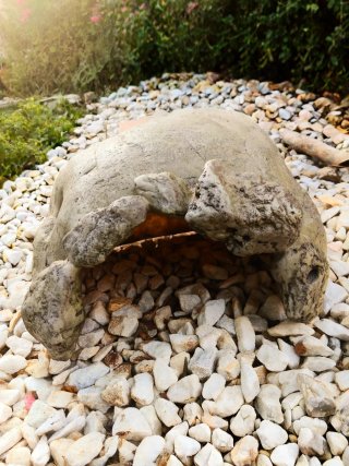 Cueva decorativa para reptiles