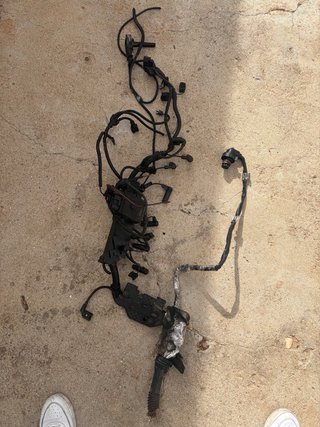 Cableado Motor BMW 330d E92