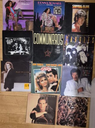11 Vinilos Internacionales y Nacionales