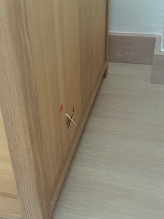 Mesa Zara Home con tara