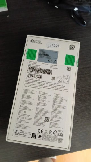 Oppo A6 Pro 5G 256GB Plata