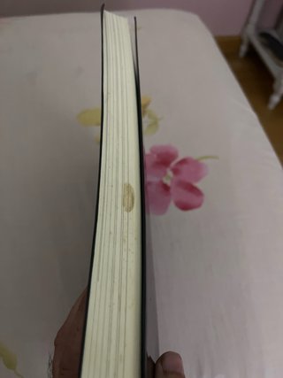 Libro Fernandez-Ladreda Imageneria Medieval