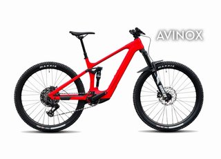 Bicicleta Eléctrica Steppenwolf Tundra 9.0 Avinox
