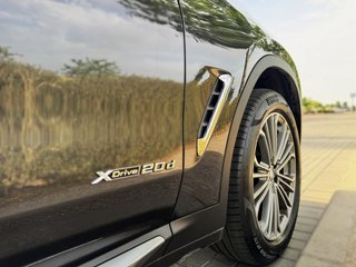 BMW X3 xDrive20d Luxury Line 190 CV Automático | N