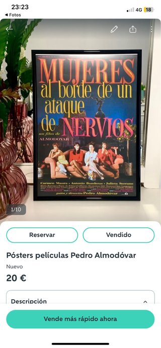 Póster Mujeres al borde de un ataque de nervios
