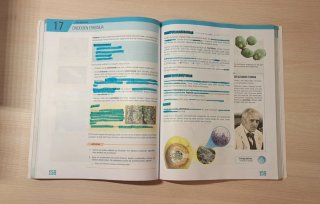 NATUR ZIENTZIAK 1° ESO / DBH