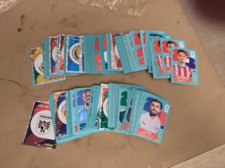 Cromos Panini FIFA World Cup Intercambio