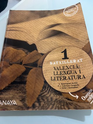 Valencià: llengua i literatura 1.