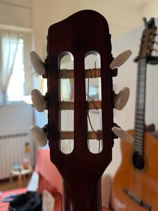 Chitarra Godin Multiac SA