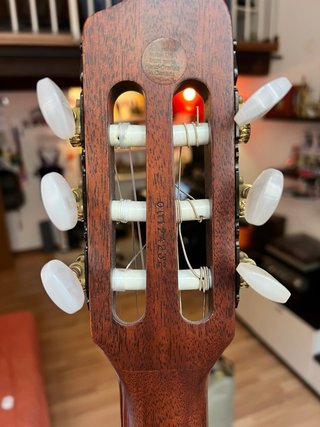 Chitarra Godin Multiac SA