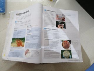 Proyecto: FanFest - Biología, Geología y Cienci...