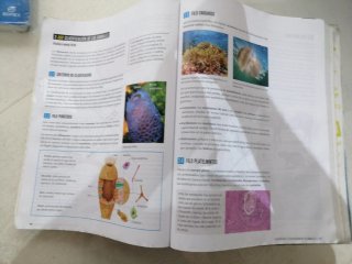 Proyecto: FanFest - Biología, Geología y Cienci...