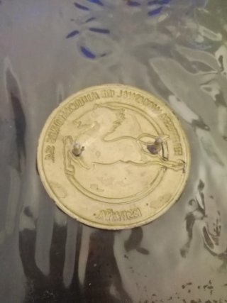 Insignia Camión Pegaso España