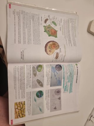 Biología y Geología. 1 Secundaria. Revuela. Com...