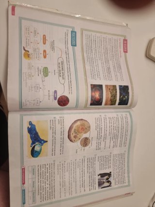 Biología y Geología. 1 Secundaria. Revuela. Com...