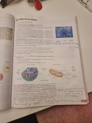 Biología y Geología. 1 Secundaria. Revuela. Com...