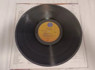 Madonna - Like a Prayer Vinilo LP