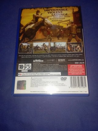 Gioco PS2 Gun