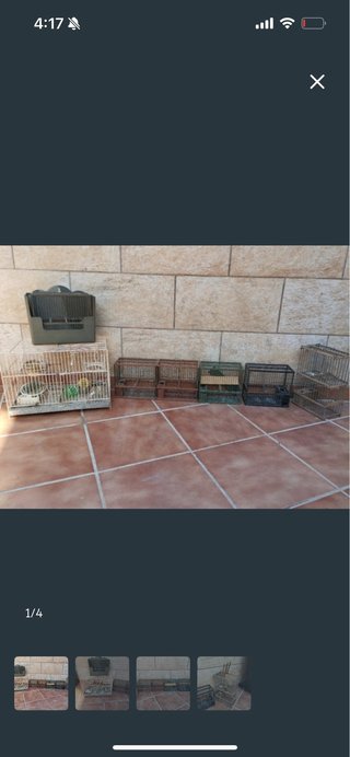 Jaulas para pájaros solo las 4 c1