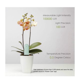 Monitor de plantas inteligente Bluetooth
