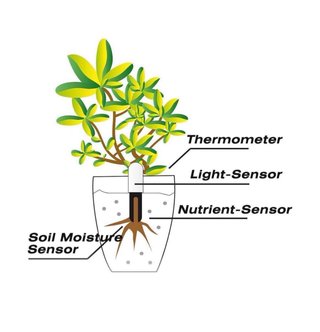 Monitor de plantas inteligente Bluetooth