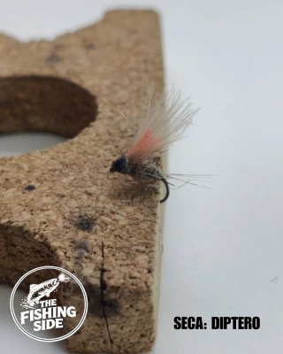 Moscas Secas para Pesca a Mosca (#1)