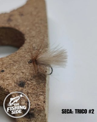 Moscas Secas para Pesca a Mosca (#1)
