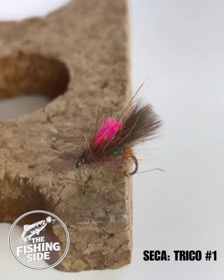 Moscas Secas para Pesca a Mosca (#1)