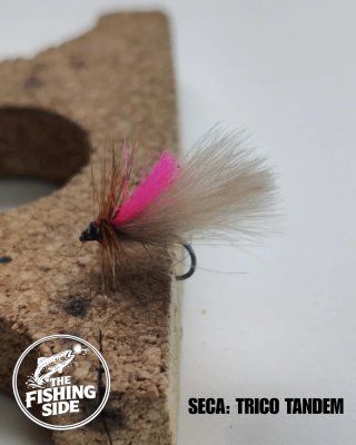 Moscas Secas para Pesca a Mosca (#1)