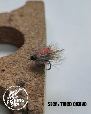 Moscas Secas para Pesca a Mosca (#1)