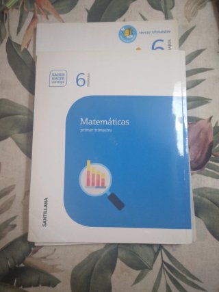 Matemáticas, 6 Primaria Saber Hacer Contigo