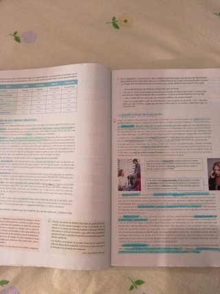 Lengua Castellana y Literatura. 2 Bachillerato....