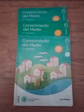 Lote libros de 6° primaria Santillana