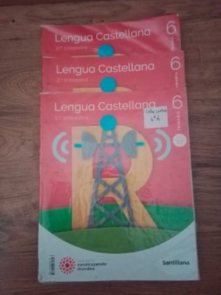 Lote libros de 6° primaria Santillana